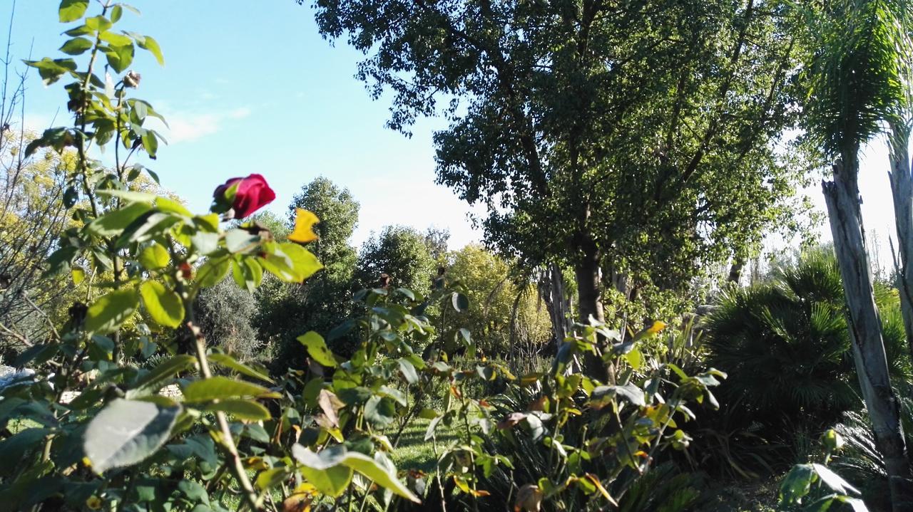 Tenuta Le Pantanelle Willa Sezze Zewnętrze zdjęcie