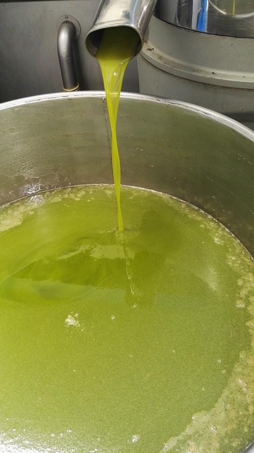 Tenuta Le Pantanelle Willa Sezze Zewnętrze zdjęcie